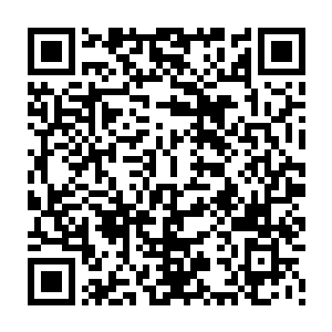 只怕不只是输掉这一场比试这么简单的……甚至一着不慎连小命都会丢掉的二维码生成
