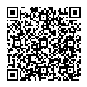 只怕就算是号称无物不噬的暴食也未必能够吞得下这片仿佛无边无际一般的黑暗沼泽吧二维码生成