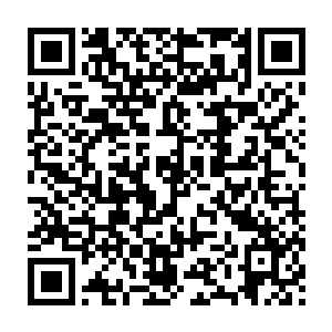 只怕早已经扑上来撕碎了慕容玥那张让自己妒恨了几十年的绝美容颜二维码生成
