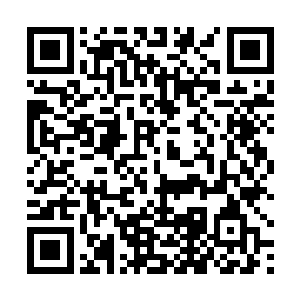 只怕是早就被绞成肉沫了……估计螺旋桨都不带停顿的二维码生成