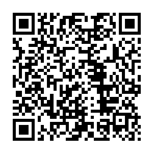 只怕真的可以撼动整条洛水……不愧是踏进神圣领域的绝世强者啊二维码生成