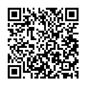 只感觉像一群无家可归的野狗在互相舔舐着伤口――大力少爷二维码生成