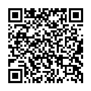 只感觉到一股无可抵御的攻击混合震荡之力冲击而来二维码生成