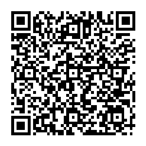只感觉到石松云的邪灵剑气似乎瞬间暴涨了一倍有余……这是石松云动用了某种强大秘法二维码生成