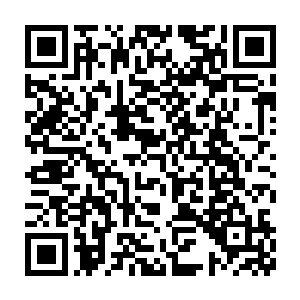 只把手里很重的黑色果实随手递给了身旁同样在好奇看着的陌路离殇二维码生成