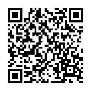 只是……倒竖第二的丹田现在为何会排在元气师天赋前面二维码生成