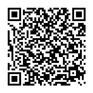 只是一眼便认出眼前的这个红衣小萝li就是使用了中原神机宗的化形术二维码生成