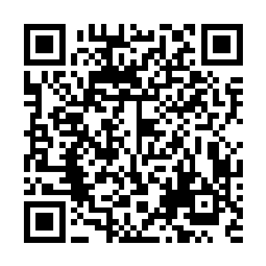 只是下臣的福分而已……………………下臣也没什么本事二维码生成