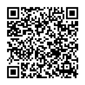 只是与此同时一根根已经重新生长出来的树枝却是环绕在了楚旬的身边二维码生成