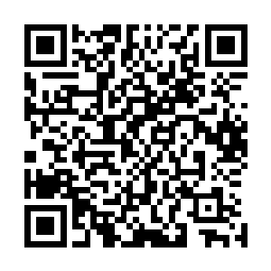 只是为了团结所有能够团结的力量共同抵抗未来的天外魔神二维码生成