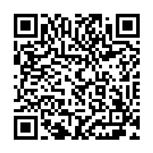 只是他们想不明白……吕家既然不打算站在杨开这边二维码生成