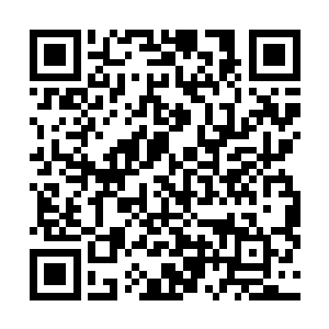 只是他们那逃命的手段根本就无法和守护家族的底蕴相比二维码生成