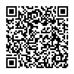 只是付出一笔安保费用便能享受这里的一切顶级服务显然还是很值得的二维码生成