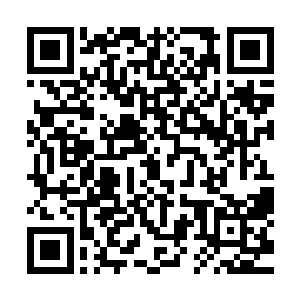 只是依仗着自己的大挪移术和本体强悍硬生生地和许量天近战二维码生成