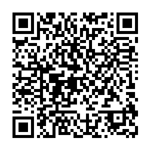 只是偶尔拿一些自己种的草药和制作的简单的药丸去城里卖了换一些日常所需二维码生成