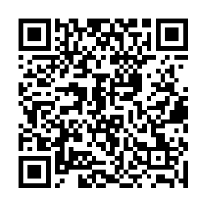 只是凭借着一股意志寻找着他所在那个世界的世界树二维码生成