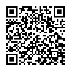 只是凭着本能去做而已――是他们的强运让他们被赏识到二维码生成