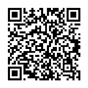 只是华夏功夫的宣扬在某种程度上却比不过异国传来的拳法二维码生成