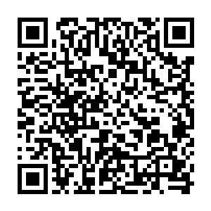 只是受伤被捆绑却保持清醒的两名毒枭正不顾一切的扭动着希望躲开这攻击二维码生成