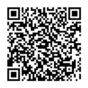只是因为坦克是否需要加装炮台等主要的设计思路上和主设计师发生了严重冲突二维码生成