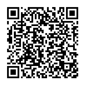 只是因为林佳浔怀孕的事情他连最重要的江南企划案都推后处理了二维码生成