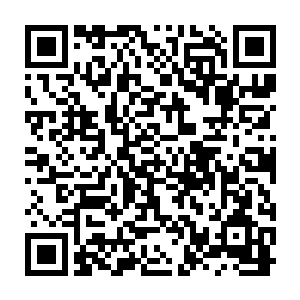 只是土豪金此时的造型完全就是从蜻蜓的模样又回到了之前大肚皮瓢虫二维码生成