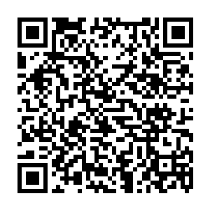 只是在绝对的压制面前任凭如何挣扎也不过是让生命多了几分悲壮的颜色二维码生成