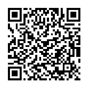 只是埋伏了一支有角人战队根本无法发泄他们的血海深仇二维码生成
