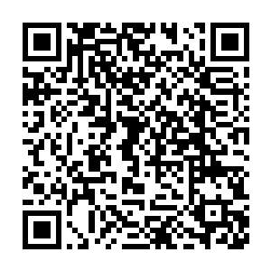 只是她认为秦洛实在没有出现的必要――只是借用一下你的故事而已二维码生成