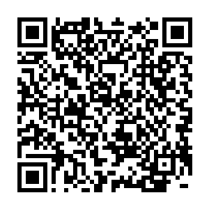 只是很可惜的是从古至今从来没有任何一个种族能够完全的血脉返祖二维码生成