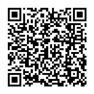只是心思稍微沉重了点……稍后你将火羽功第十层的内容透露给他二维码生成