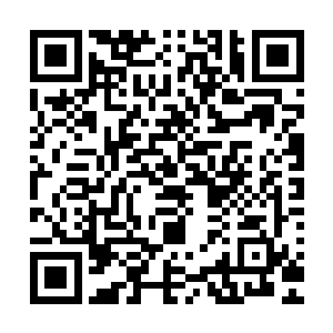 只是怎么也不会猜到现在冥界的冥王也会是张潇晗的契约奴仆二维码生成