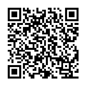只是我们这些圣级之间碰撞的余波就会让一个个家族和宗门灭亡二维码生成