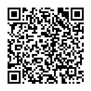 只是指了指自己从左边脸部位置一直延伸到脖子下面的一条恐怖的疤痕二维码生成