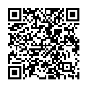 只是无论这光团如何窜动却始终无法飞出秦宇的手掌心二维码生成