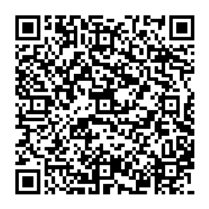 只是每年重阳节或者厂里有什么劳动模范表彰这一类的活动会邀请父亲这些老劳动模范回去参加二维码生成