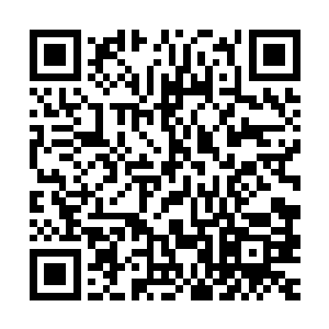只是满怀感激的朝着这位给了自己莫大启发的白衣书生一拜到底二维码生成