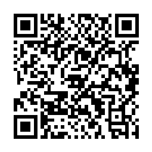 只是用掌心那微微的热度在雨果赤果的胸膛上轻轻移动二维码生成