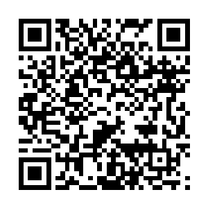 只是看着沈洋在那一堆申请表里面翻找着武术社的申请表二维码生成