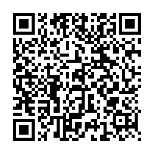 只是第一没有抓到也没有任何的风声第二蒋晨对她好的不是一点半点二维码生成
