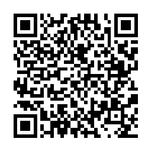 只是简单的使用侦查技能侦测了一下这只青花瓷的真假而已二维码生成