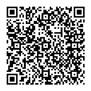 只是综合了墨修尧和叶璃的容貌的优点而显得更加精致的俊美面容让他显出这个年纪的少年应有的稚气二维码生成