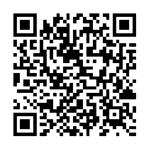 只是这一掌让他身体里面混乱的几股内劲又一次博弈撕咬起来二维码生成