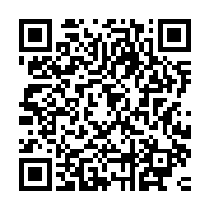 只是这一条用于灵气运行的经络是古人潜心钻研找到的最佳路径二维码生成