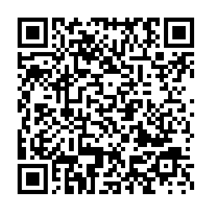 只是这一身晒黑的皮肤让原本长相能够带给他的斯文气给消耗殆尽了二维码生成