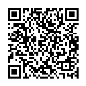 只是这个时候眼前的巨蟒围绕着整个整个古杨家的城池转了一圈二维码生成