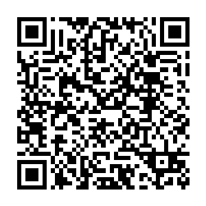 只是这个进程提前了一些…可是那段记忆仍旧是他心中无法抹去的痛二维码生成