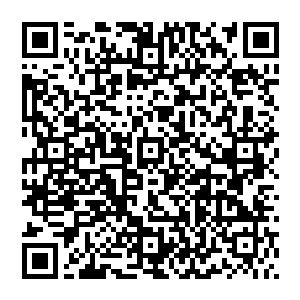 只是这时他们没有注意到的是这道禁制的三角形标志碰到了白芷璃的血之后迅速地将白芷璃的血给吸了进去二维码生成