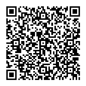 只是这杨东风刚才还牛逼哄哄地单人单旗喝退了东洋第三大暴力团稻川会属下的小组长和数千东洋学生二维码生成