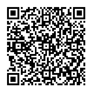 只是1000多个金币的债务带给一个普通女人生活的改变和出现在这个女人生活中的几个或见过二维码生成